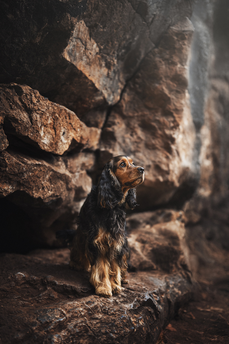 The Heart of Stone and Soul