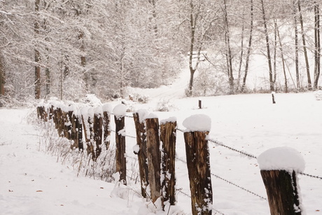 sneeuwlandschap