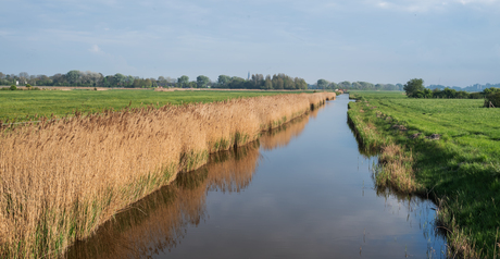 De polder van Walcheren