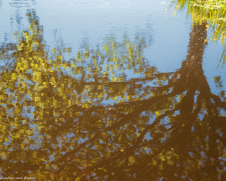 reflection of a sunny day
