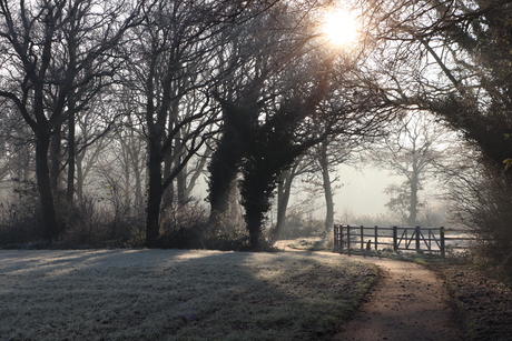 wintermorgen