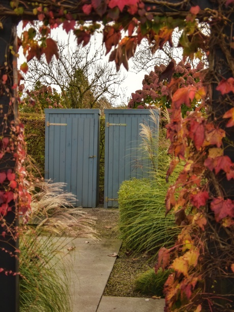 Herfst doorkijkje