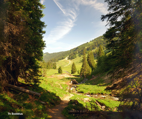  1906305262  bergdal