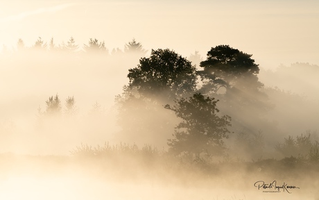 Mist en zon....