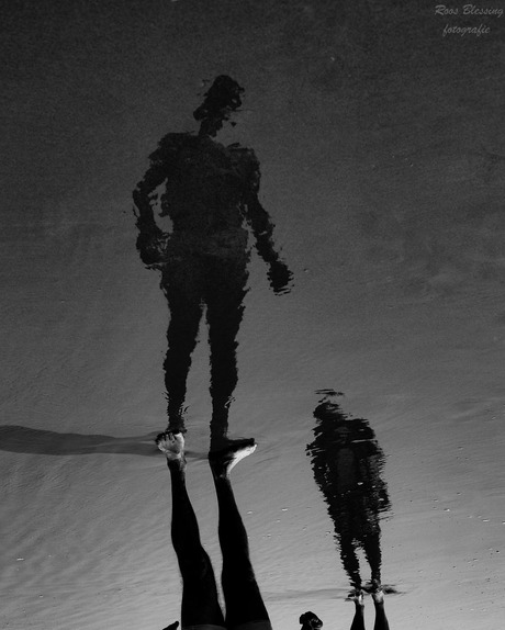 reflection