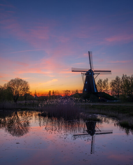 Molen de Zwaan net na zonsondergang