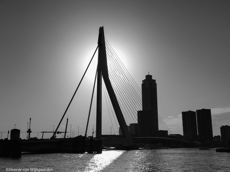 Erasmusbrug