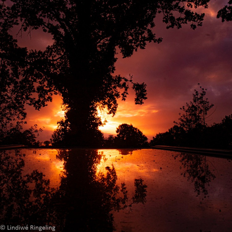 Capturing the sunrise 