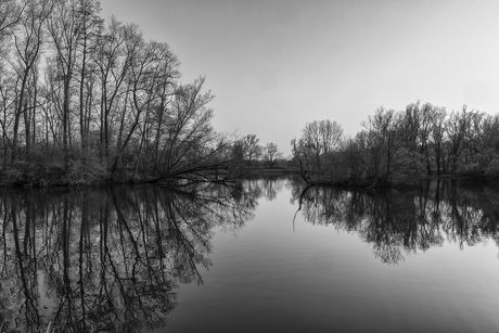reflectie