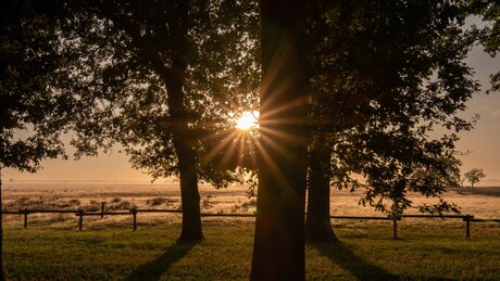 zonsopkomst met ochtendmist