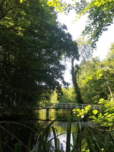 Park Clingendael 