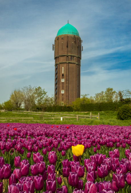 Watertoren Zuidzijde