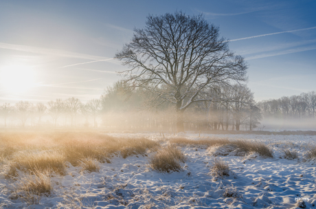 Kempen Broek met sneeuw