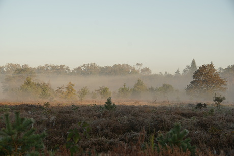 Nevel over de Heide