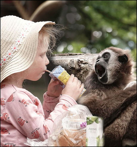 "geef me ook een beetje.................................