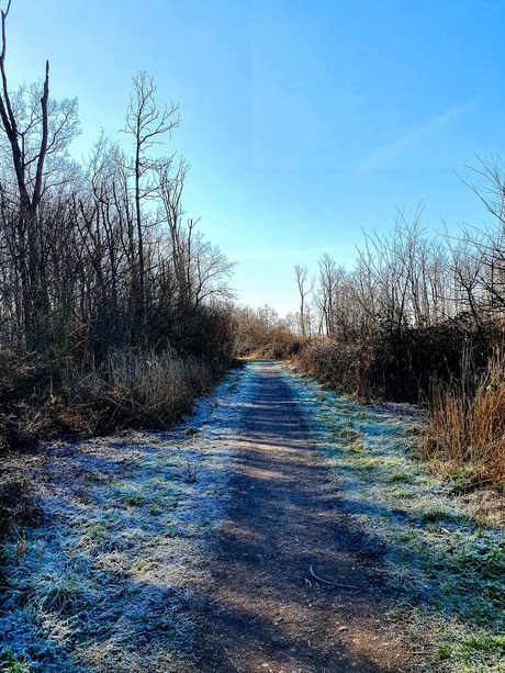 Op een vroege zondagmorgen 6 mrt 2021 was het ook koud......
