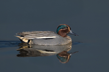 wintertaling