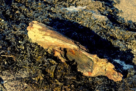 Aangetast............