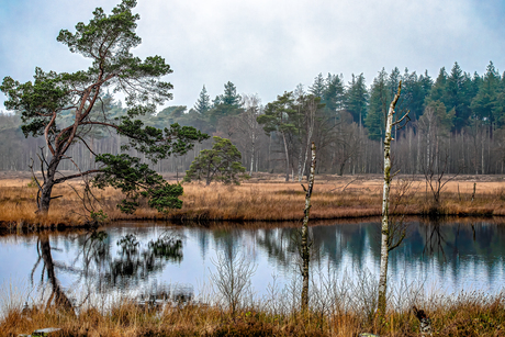 Onze Veluwe