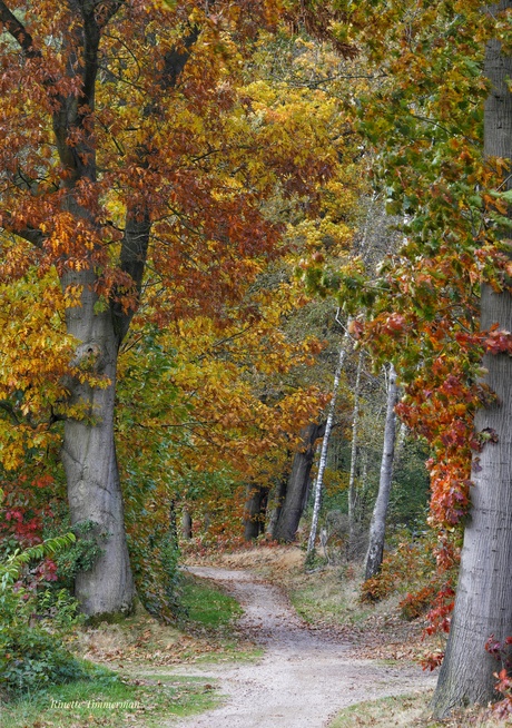 Herfstpaadje