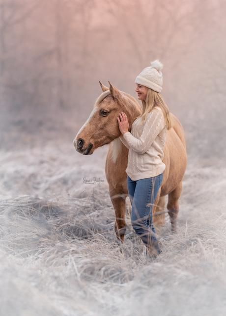 Winter colours