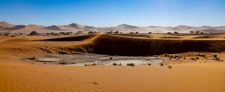 Roadtrip door Namibië (juli 202)  Deadvlei