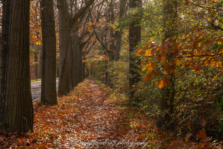 Herfst