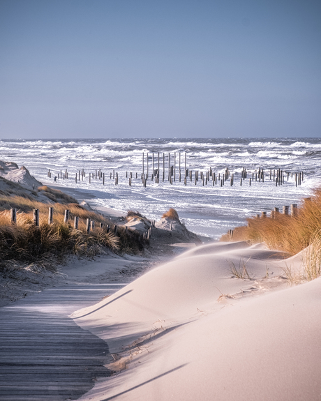 Dudley over Palendorp Petten