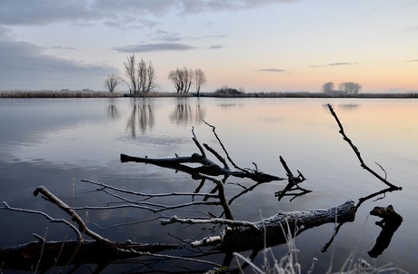 Winterlandschap