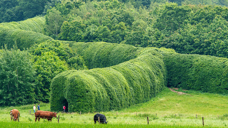 Groene Bedstee