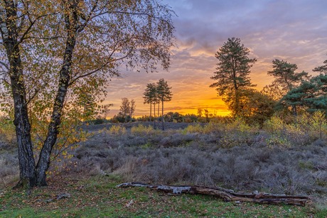 Zonsopkomst in de herfst