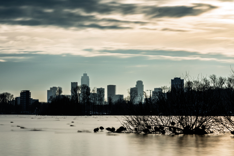 Rotterdam, Kralingsebos