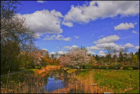 de mooie natuur..................................