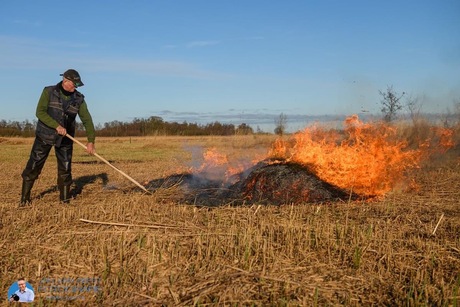 Riet verbrandenden