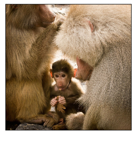 niks te vrezen............................