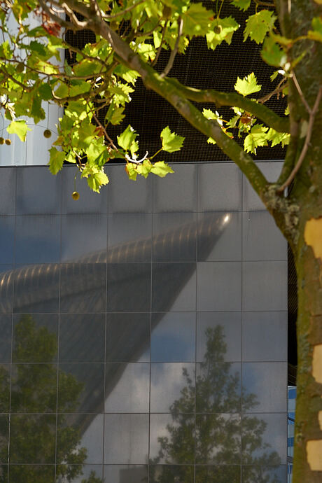 Station Rotterdam CS