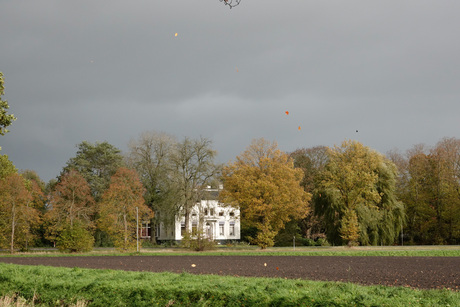 HAARFST IN WESTERWOLDE
