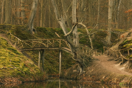 Verlaten brug in het bos