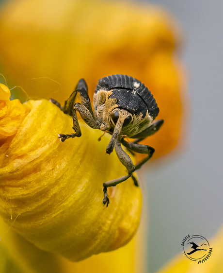 Kijk me diep in de ogen!