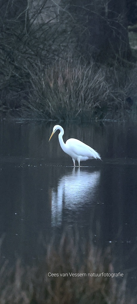 Spiegelbeeld 