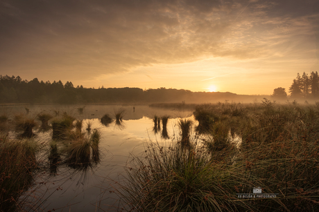 Drents vennetje in de ochtendzon met mist