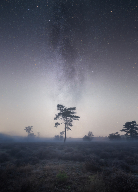 Melkweg in de mist