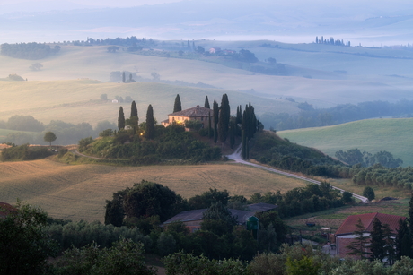 Tuscan Sunrise