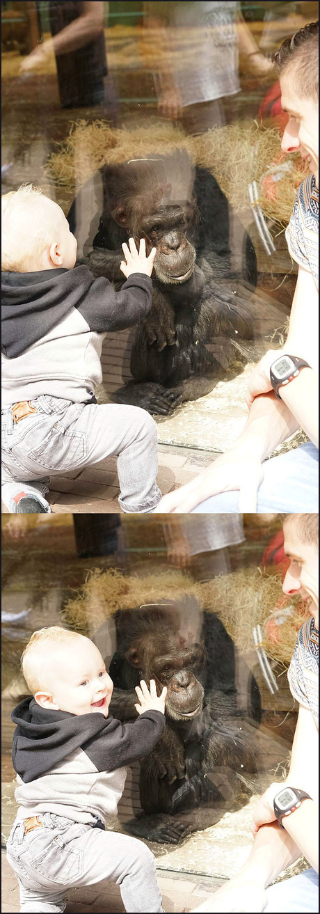 papa...................................