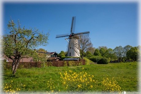 Molen De Bouwing
