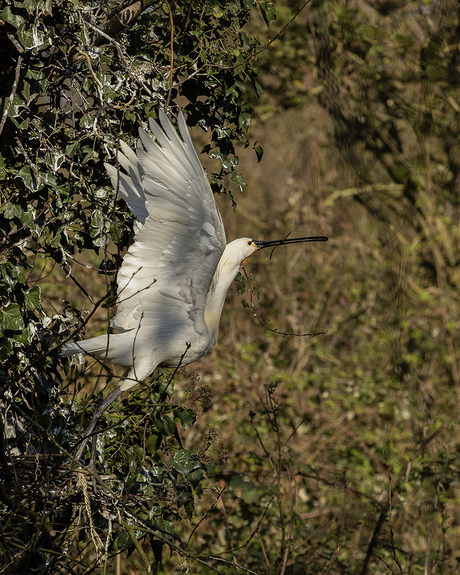 Caught in the moment!