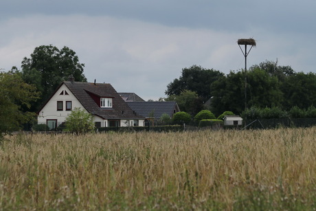 Terwolde. 