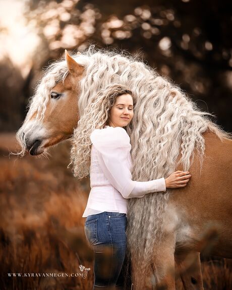 Romantische paardenfotografie 