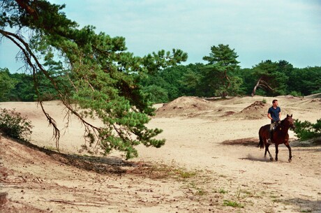 Rhenen.