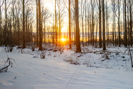 Zonsopkomst in de sneeuw